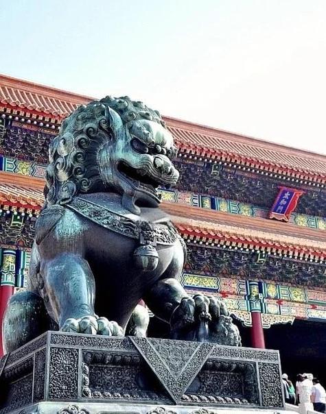 大狮是否国家平台
