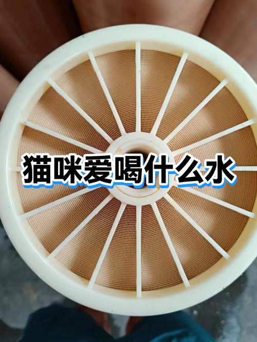 宠物饮水机坏了