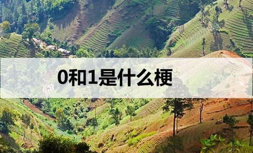 0和1是什么意思 0和1是什么意思