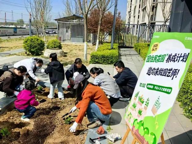 住宅几米内不准种树