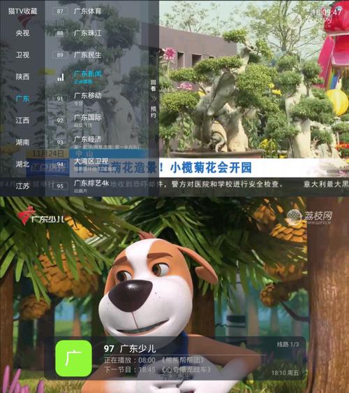 海星TV授权码激活码截图3