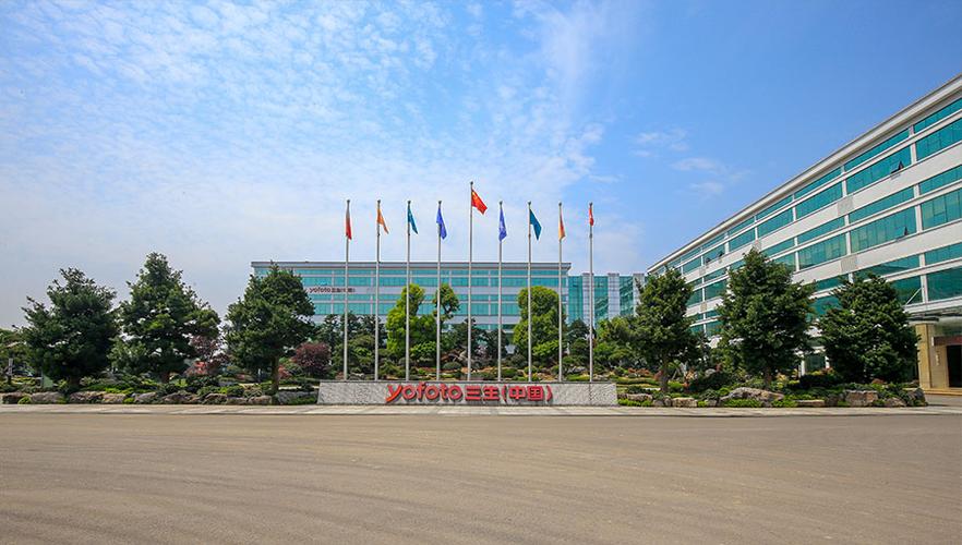 三生公司是一家什么样的公司
