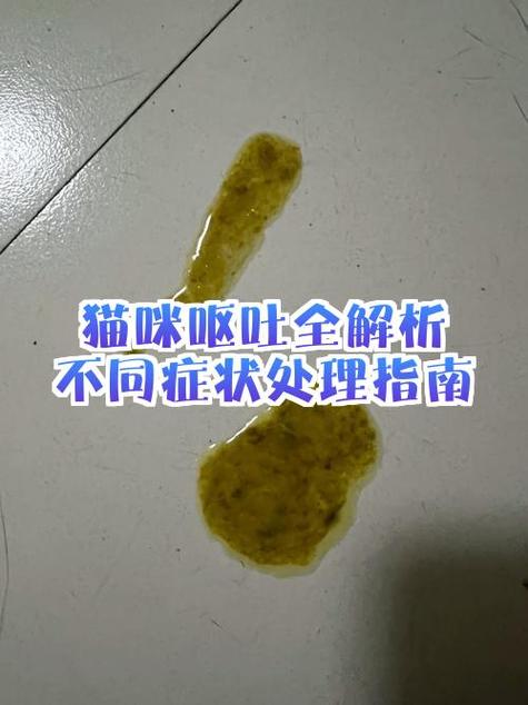 猫咪吐白色泡沫吃什么药