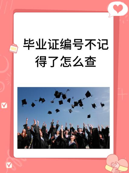 域名证书查询网站