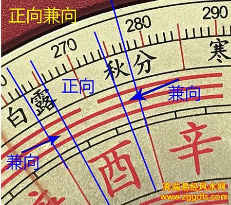 正向与兼向的区别