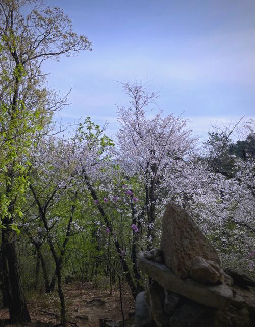 镜子山:山如明镜,登山望远 镜子山:山如明镜,登山望远