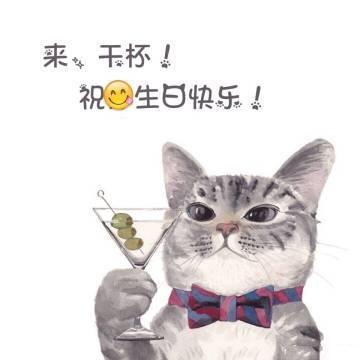 猫咪生日祝福