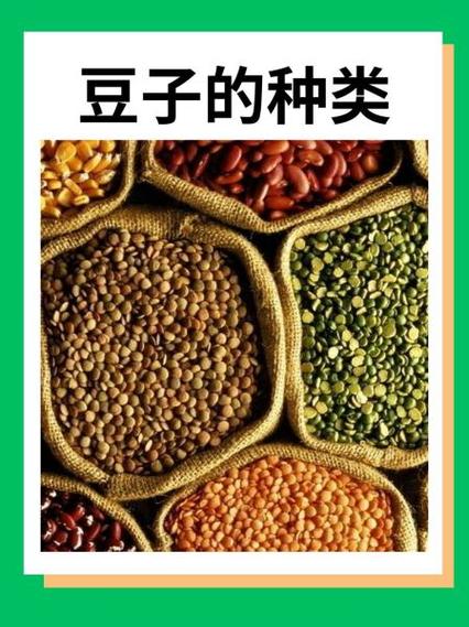 豆类品种大全