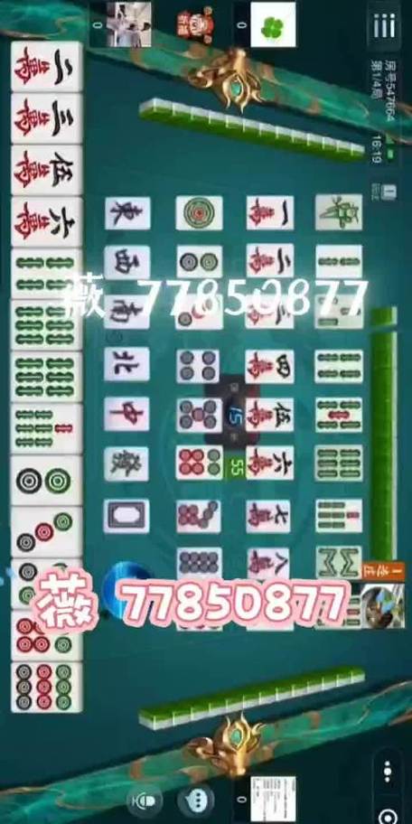 微乐河南麻将免费开挂手机版截图3