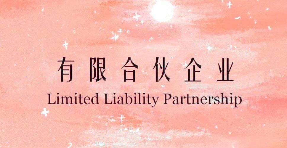 有限合伙人出资方式