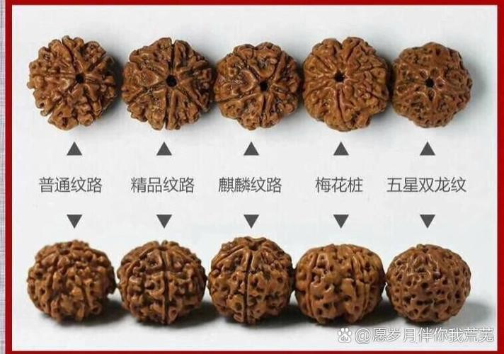 十大菩提等级排名