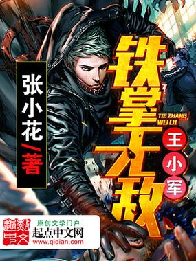 铁掌无敌王小军epub截图3