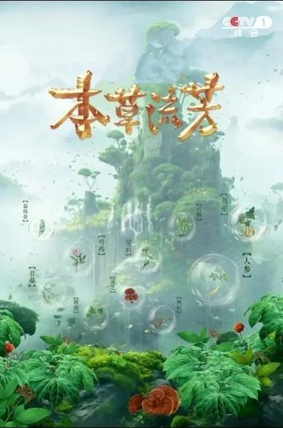 CCTV纪录片
