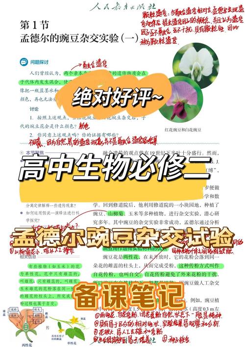 奶奶有狐臭会遗传给孙女吗