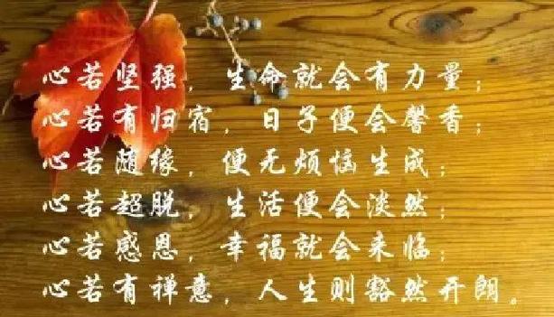 ns死亡细胞保存