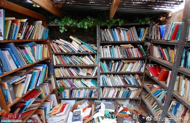 我的书架在什么地方可以找到
