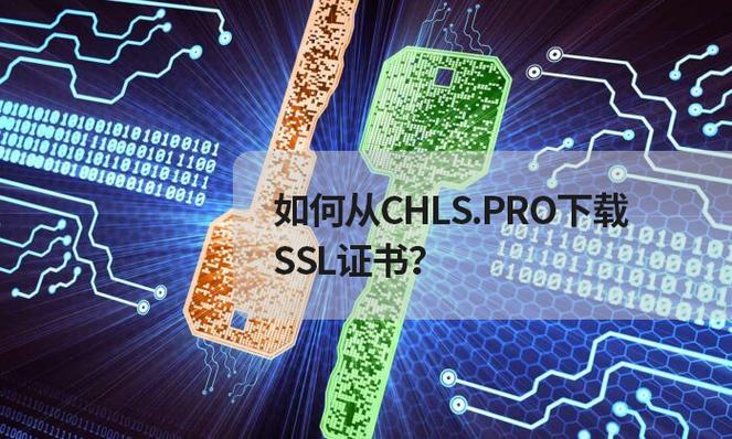 chls.pro.ssl下载证书