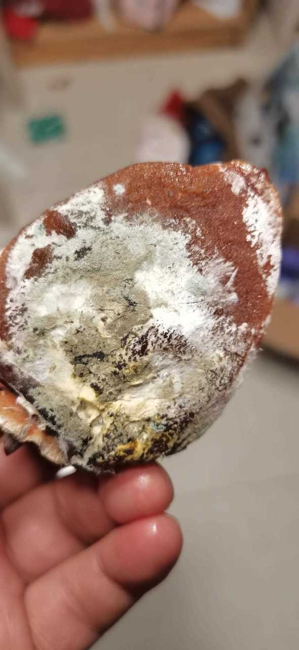 柿饼过期可以吃吗