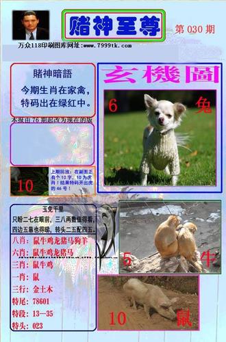 118图库免费资料图大全截图3