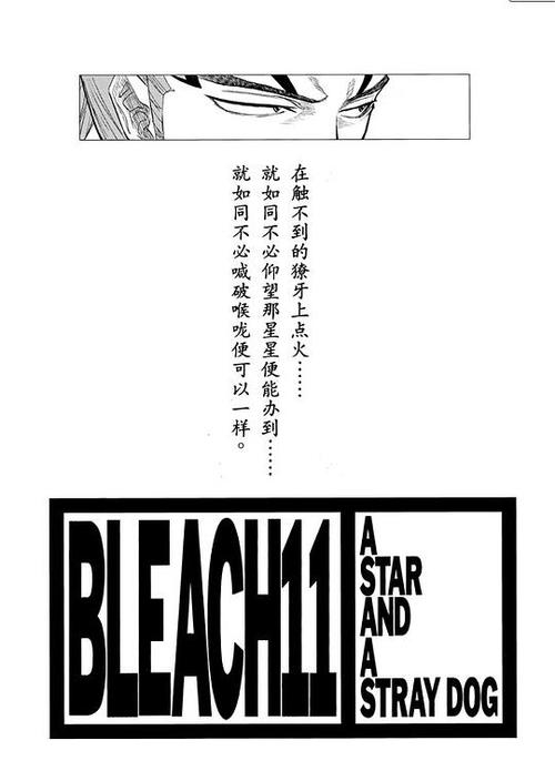 bleach最经典十句话截图2
