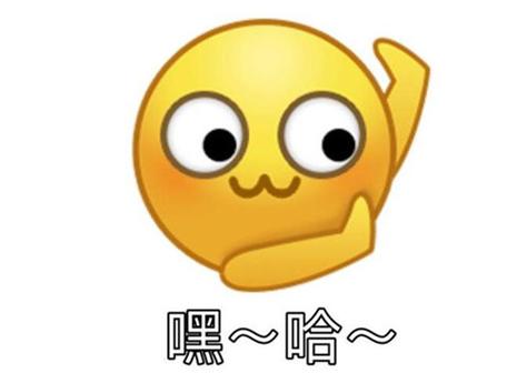 女生发嘿哈表情暗示截图1