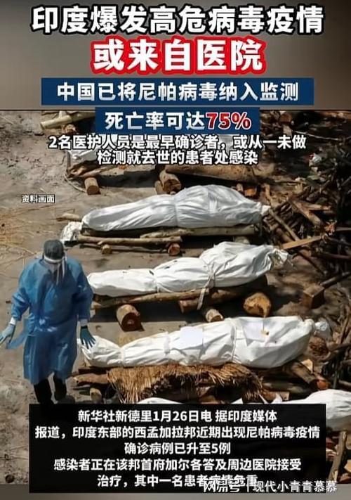 病毒死亡率排行榜截图3