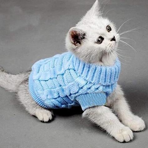 猫猫的编织视频教程 猫猫的编织视频教程