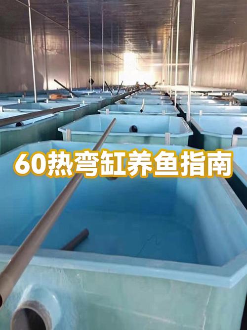 热弯缸寿命一般几年