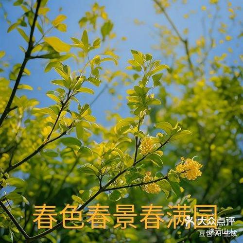花香app最新版本更新内容截图3