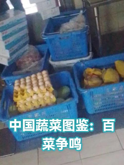 中国蔬菜网app