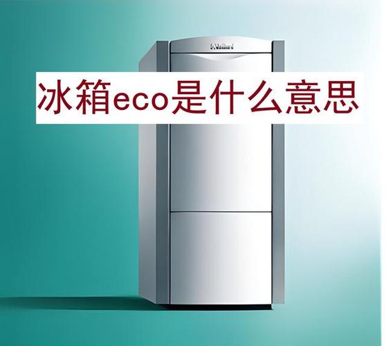 冰箱eco用不用开