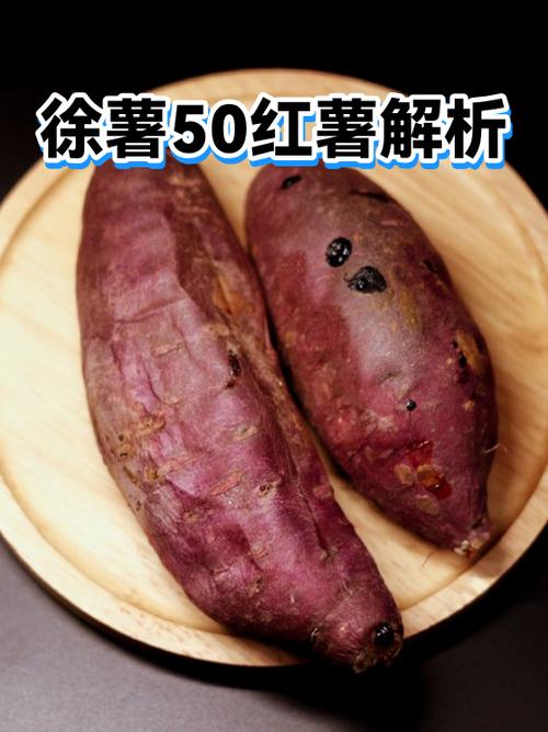 地瓜的介绍截图2