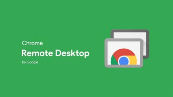 西西软件园 chrome截图3