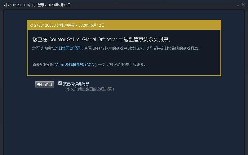 csgovac验证错误什么意思
