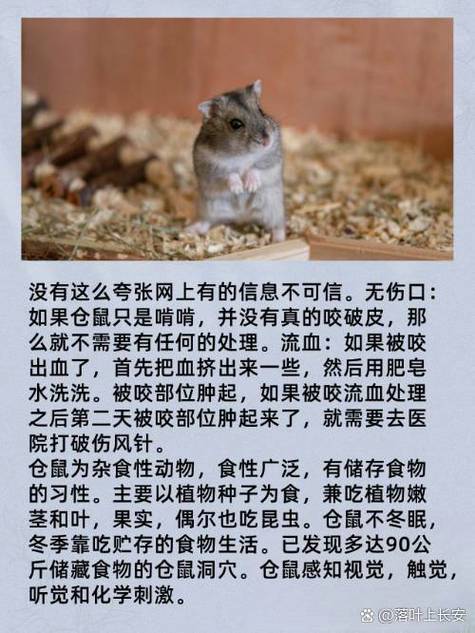 仓鼠咬了人他却死了