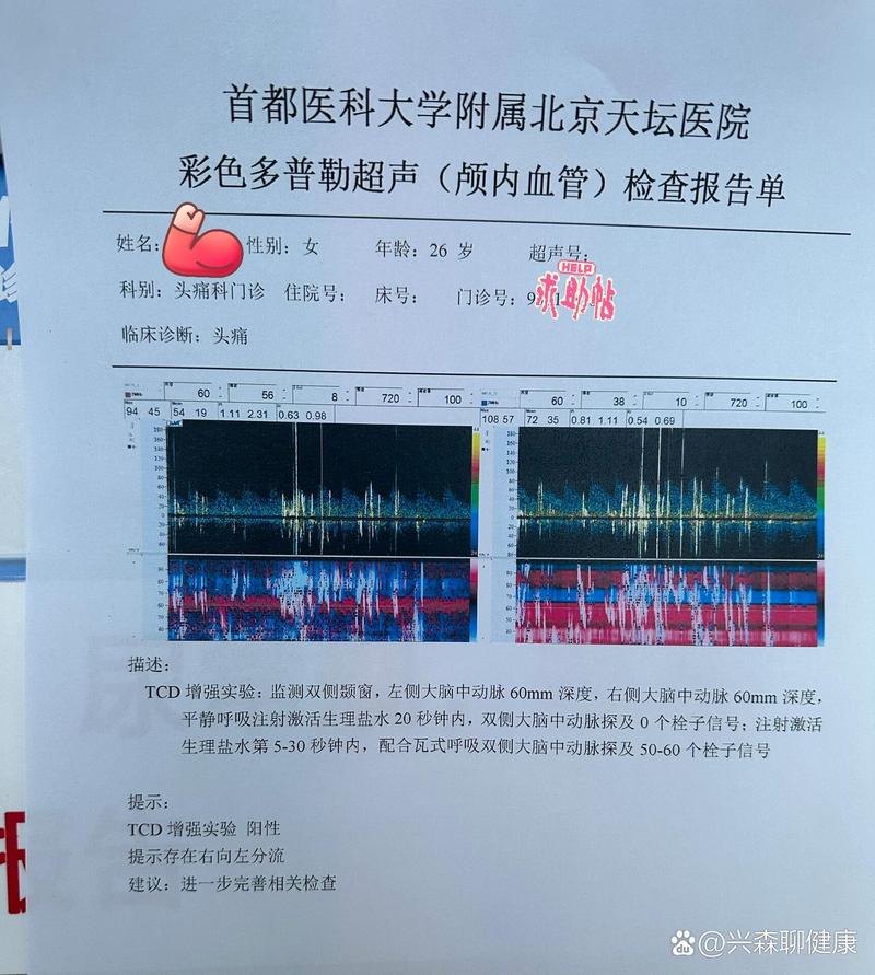 中医TCD编码查询