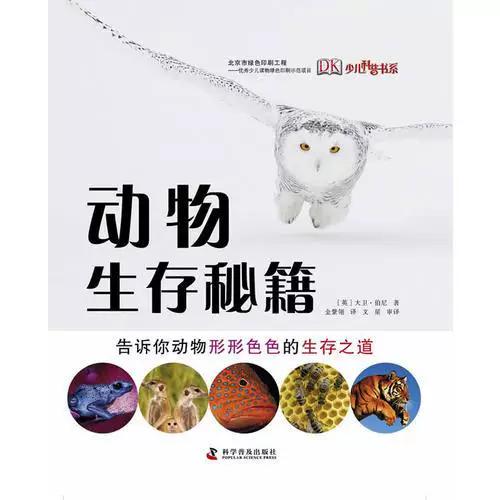 生存模式怎么获得基岩