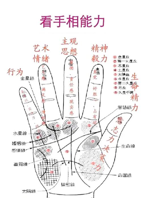 手掌纹路很清晰说明什么截图1