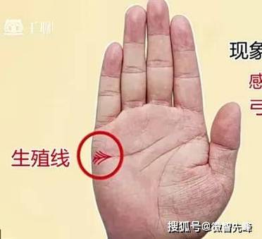 手掌纹路很清晰说明什么截图3