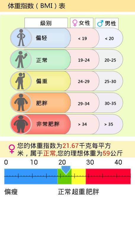 女性bmi计算公式计算器