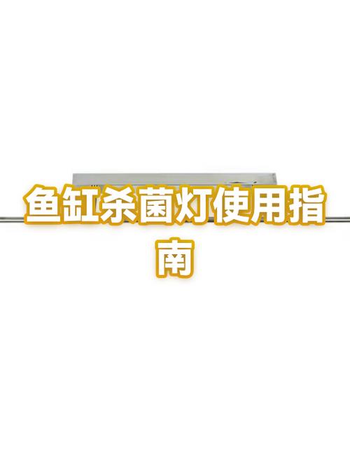 鱼缸灯白天还用打开吗