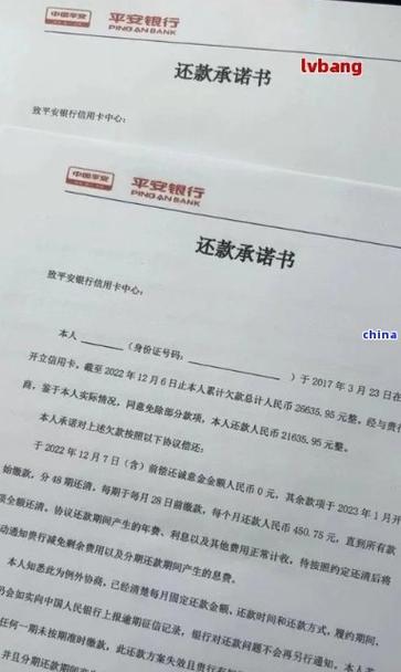 平安惠普协商还款不成功怎么办截图2