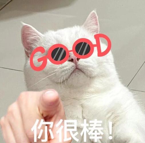 赞美的图片表情图片