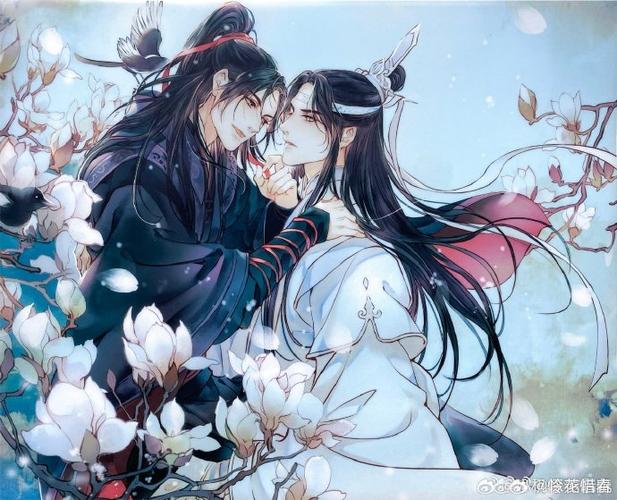 魏无羡蓝忘机cp的人文