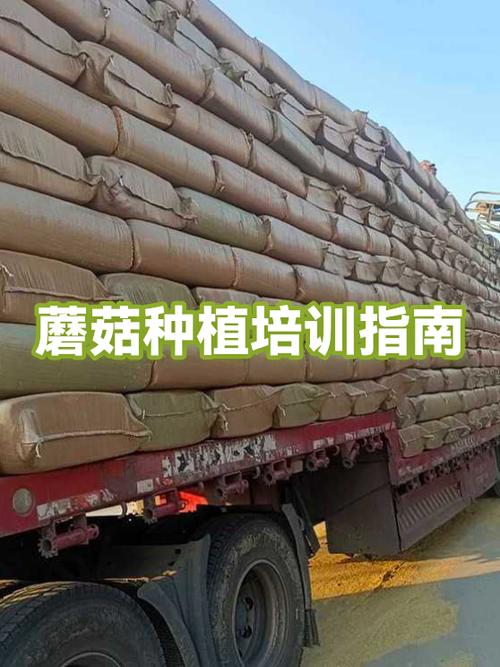 菌种培训哪家能学会