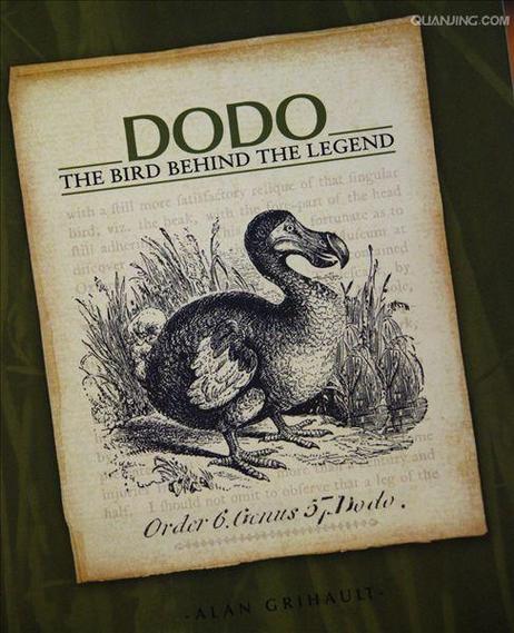 DoDo