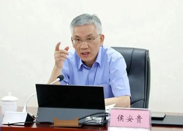 中国宝武董事长级别
