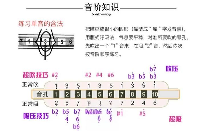 初学口琴选哪种口琴好