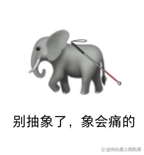 包三个字的谐音梗是什么