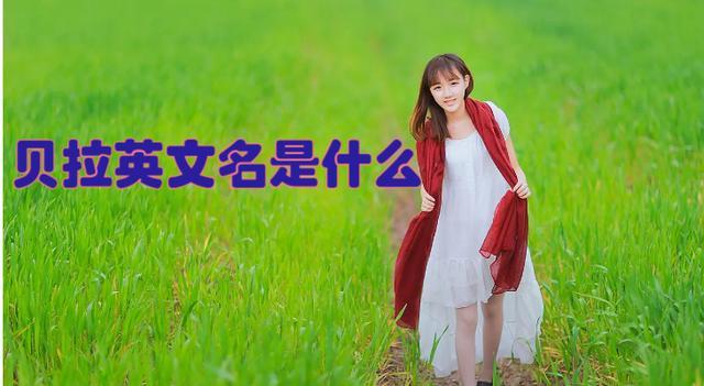 贝拉名字寓意截图3